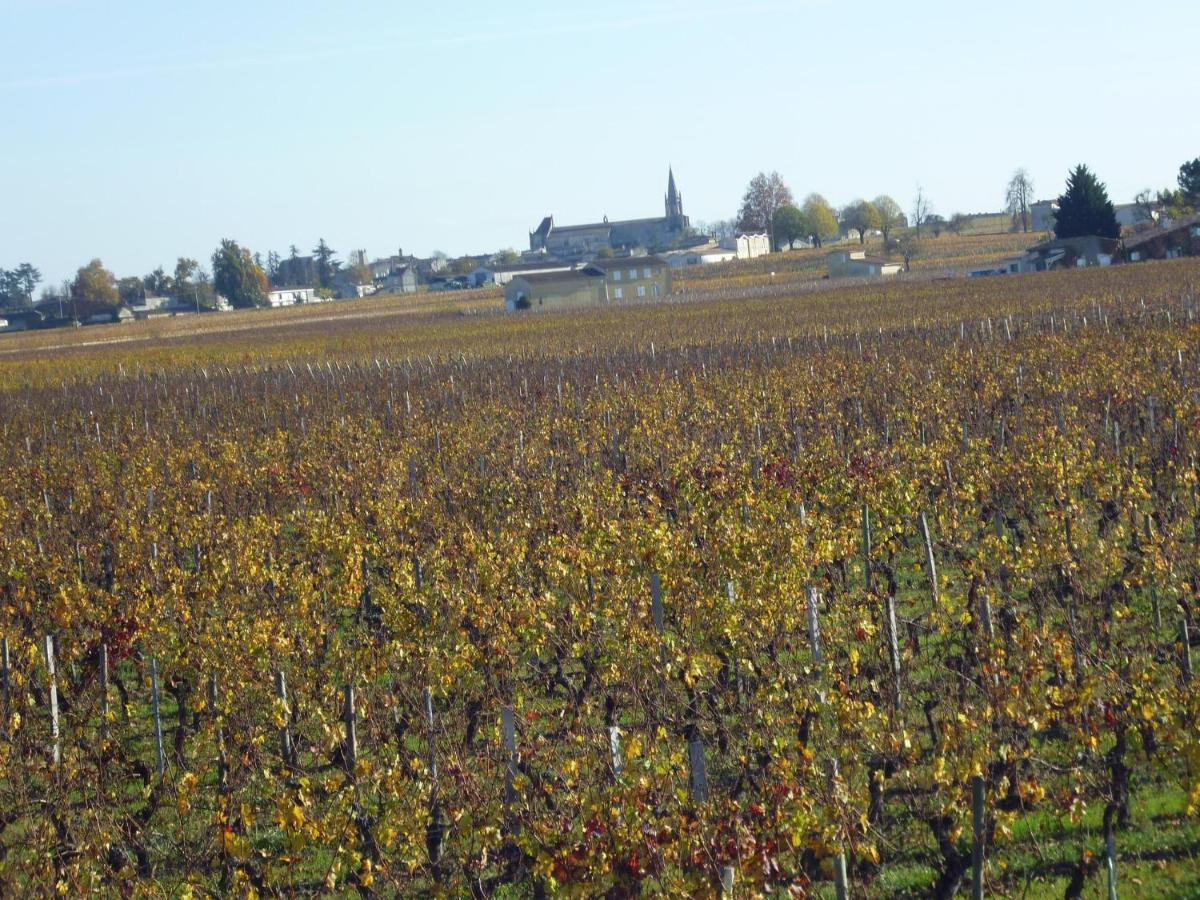 Le Clos Des Rosiers サン・テミリオン エクステリア 写真